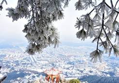 优秀作品：《魅力龙泉》