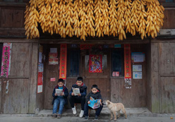 优秀作品：《读书娃和狗》