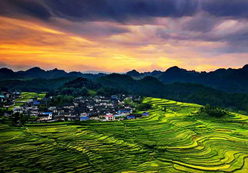 优秀作品：《高要秋色》