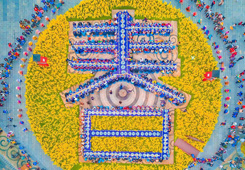 优秀作品：《春天的盛宴》