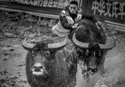 优秀作品：《紧追不舍》