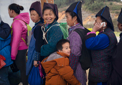 优秀作品：《跟着奶奶来采茶》