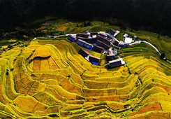 优秀作品：《黄金屋》