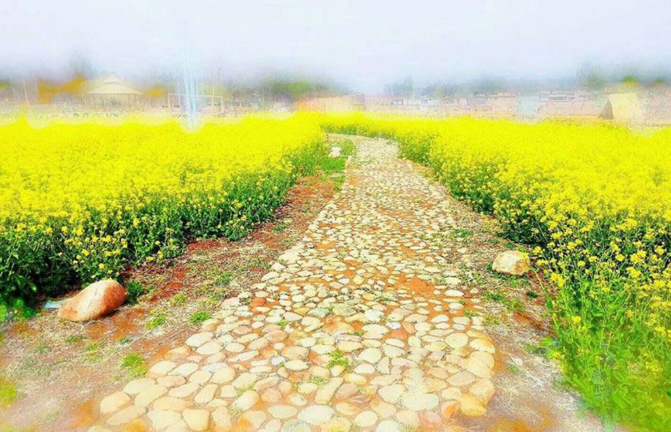 河北灵寿：借助旅发大会 绽放全域旅游新活力