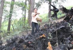 优秀作品：《产业腾飞》