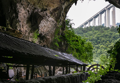 优秀作品：《古新变异》