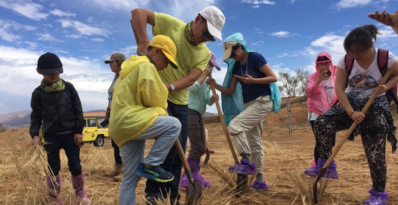 勤劳的沙坡头人勇跃参与治沙