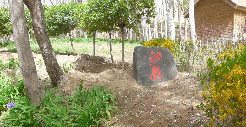 沙坡头以沙命名，反倒有不少泉水