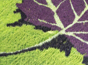 新疆：稻田画迎八方游客