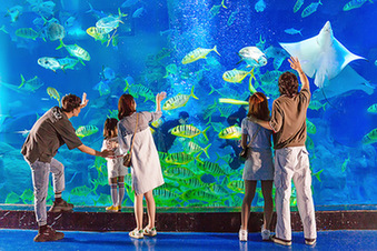 【&ldquo;疫&rdquo;后花开 迈向诗和远方】畅游威海华夏城 神游海洋世界