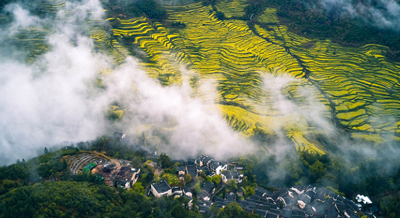【&ldquo;疫&rdquo;后花开 迈向诗和远方】婺源春色浓 油菜黄满天