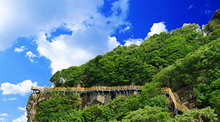 【&ldquo;疫&rdquo;后花开 迈向诗和远方】郁郁苍梧海上山 桃花源里赏桃花