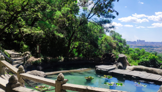 【&ldquo;疫&rdquo;后花开 迈向诗和远方】清源山：放开脚步 拥抱春色