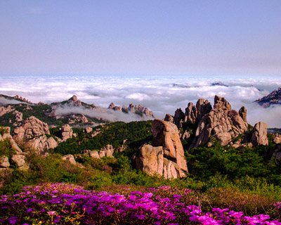 【&ldquo;疫&rdquo;后花开 迈向诗和远方】海上&ldquo;第一名山&rdquo;&mdash;&mdash;崂山