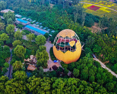 【&ldquo;疫&rdquo;后花开 迈向诗和远方】走进济南野生动物世界 探索动植物奥秘