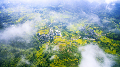 【&ldquo;疫&rdquo;后花开 迈向诗和远方】阳春三月下仙居 感受满面春光的惊喜