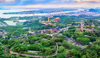 【&ldquo;疫&rdquo;后花开 迈向诗和远方】广州莲花山 &ldquo;疫&rdquo;后花更鲜