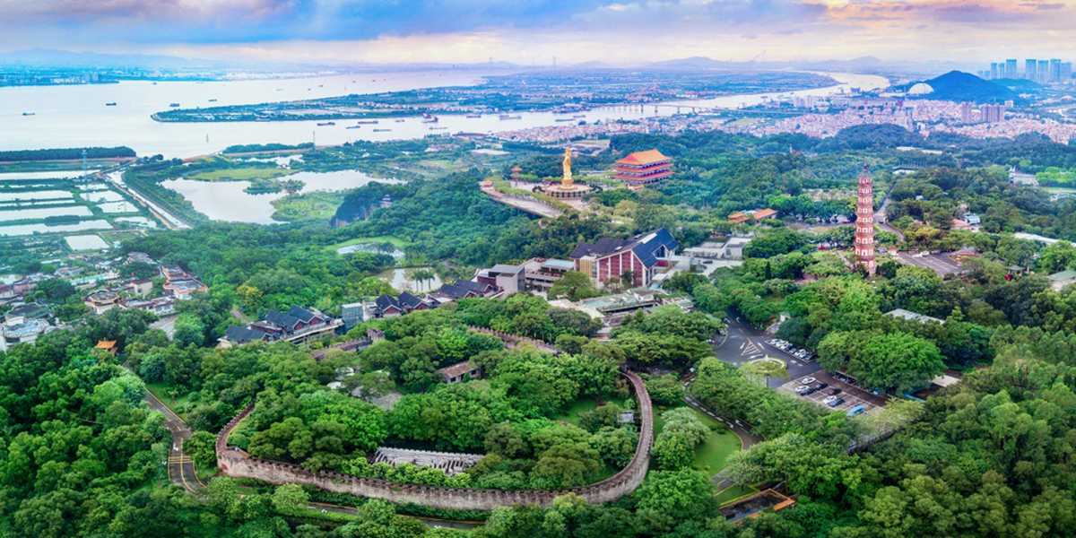 广州莲花山 &ldquo;疫&rdquo;后花更鲜
