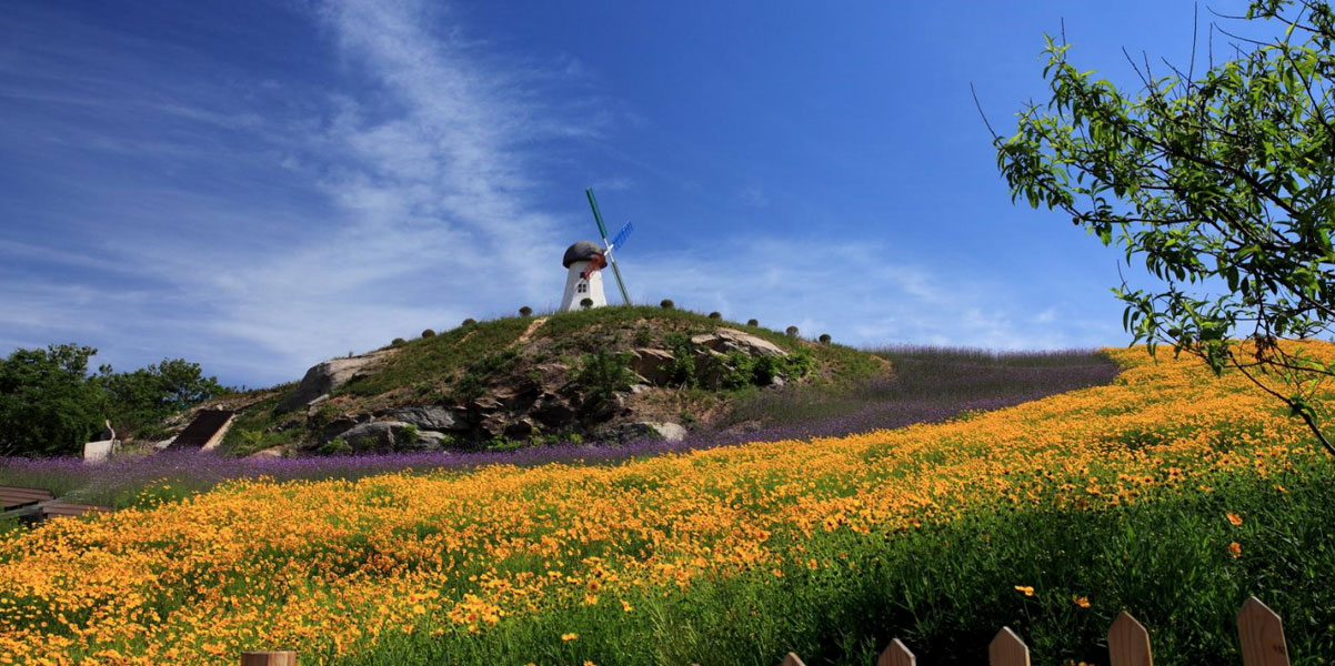 连岛景区：美在海中央 &ldquo;面朝大海 春暖花开&rdquo;