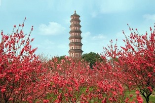 【&ldquo;疫&rdquo;后花开 迈向诗和远方】广州莲花山 &ldquo;疫&rdquo;后花更鲜