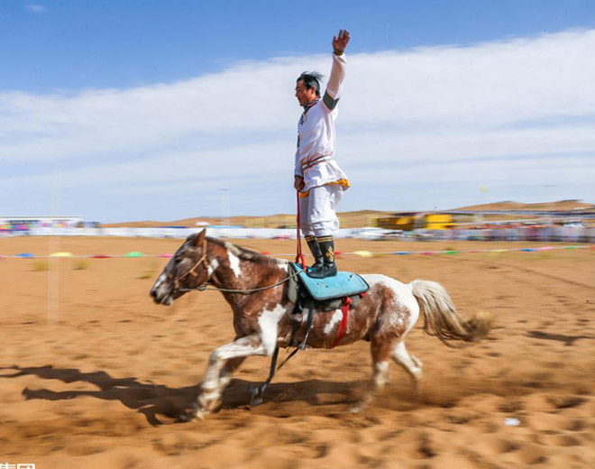 现场直击：马背上的英姿绝技