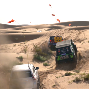 兄弟齐心共辉煌 沙漠似海任遨游