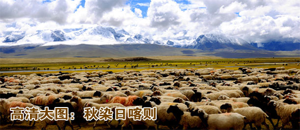 高清大图：秋染日喀则