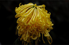 金秋 丰台旅游精品线路