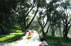 诸暨千年香榧林探险漂流