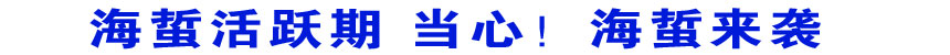 海蜇活跃期 当心！海蜇来袭