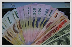 自费项目全部取消