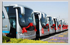 旅行社能为经济发展做什么?