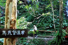 马武督探索森林