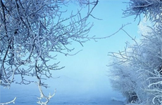 东北红色旅游区