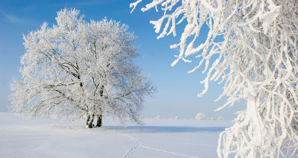 环游世界:领略全球12大冬季绝美雪景