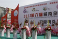 2013年第六届皖南旅游购物节开幕