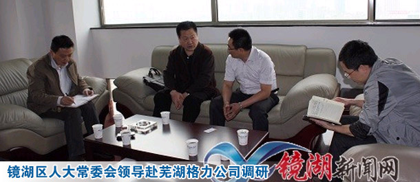 镜湖区人大常委会领导赴芜湖格力公司调研