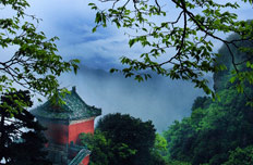 翠掩仙山