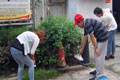 狮子山社区开展“学雷锋”清理垃圾志愿活动