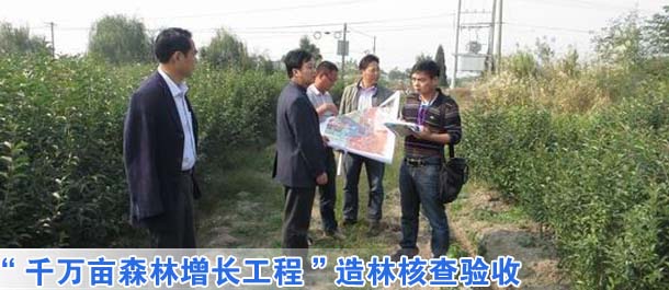 镜湖区通过&ldquo;千万亩森林增长工程&rdquo;造林核查验收