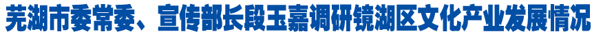 芜湖市委常委、宣传部长段玉嘉调研镜湖区文化产业发展情况