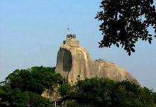 日光岩下的三角梅