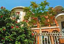 《去鼓浪屿寻找一种情怀》