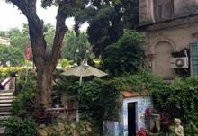 《优雅的执着》