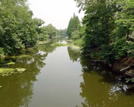 江都波斯庄白塔河及其支流波斯河