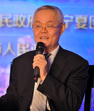 中国电子科技集团公司总经理助理