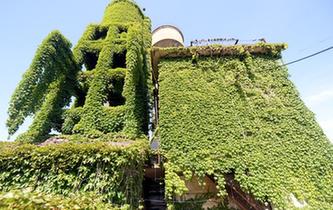 浙江湖州：老絲廠&ldquo;披綠裝&rdquo;