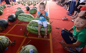 河南開封：&ldquo;鬥瓜&rdquo;大賽精彩紛呈