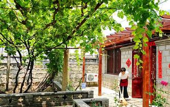 &ldquo;葡萄之鄉&rdquo;河北昌黎打造精品民宿助推全域旅遊升級