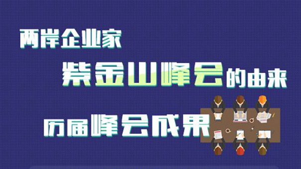 历届两岸企业家紫金山峰会成果盘点